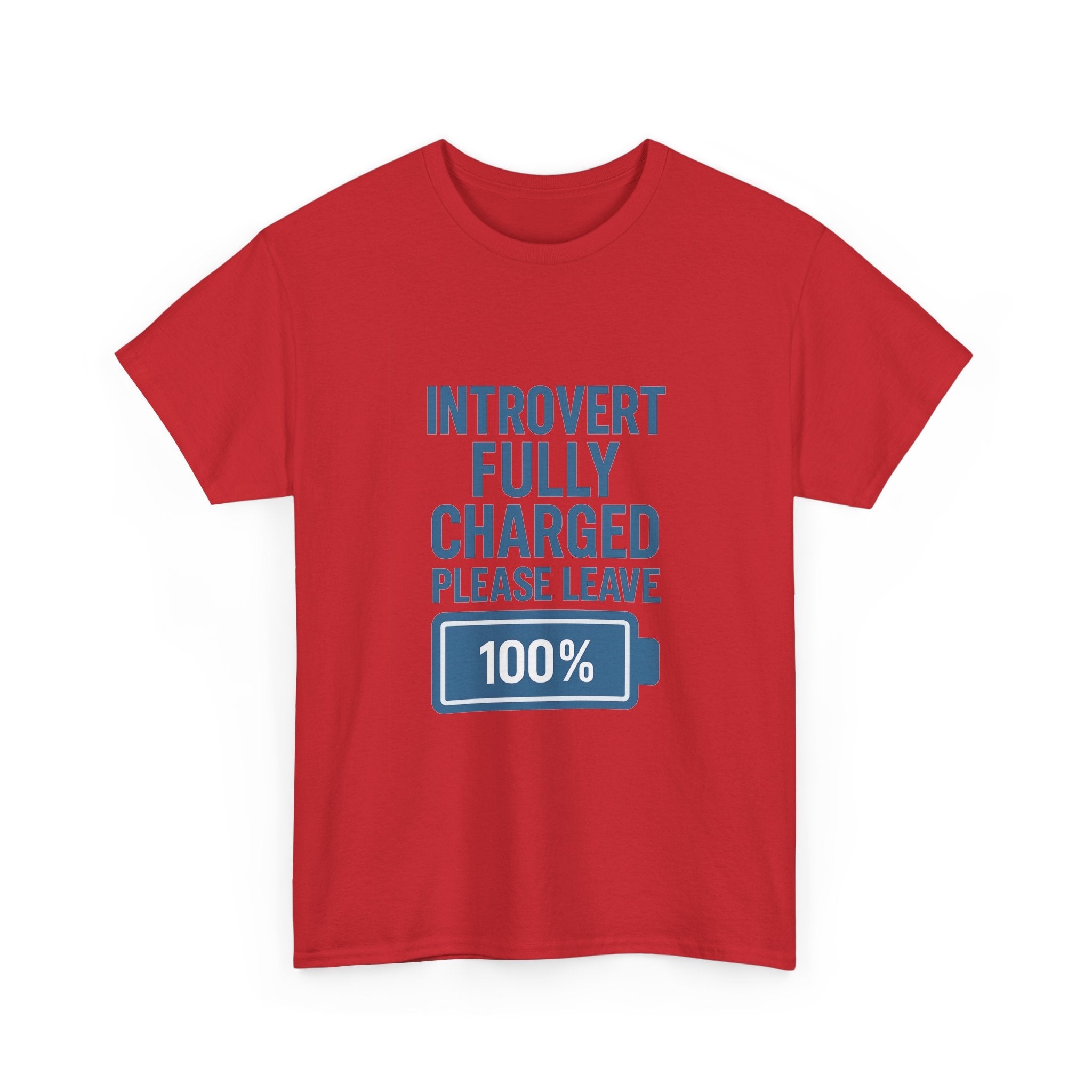 Introvert Fully Charged Please Leave T-Shirt | Unique Gift | Graphic Tee