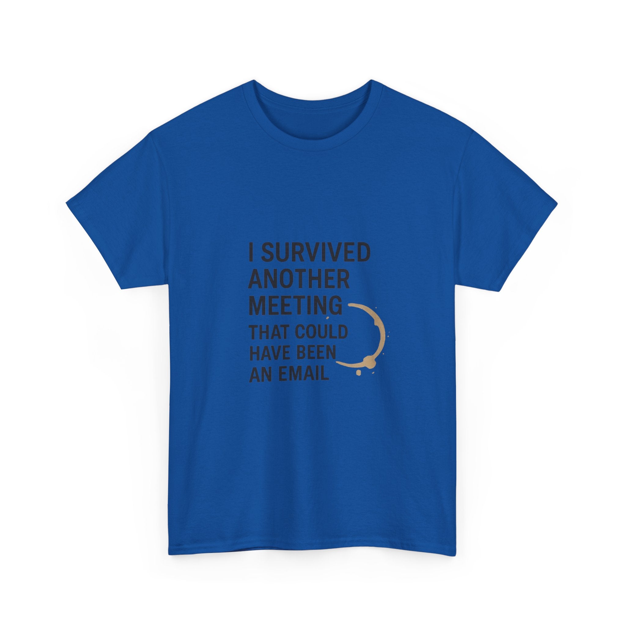 I Survived Another Meeting That Could Have Been An Email T-Shirt | Unique Gift | Graphic Tee