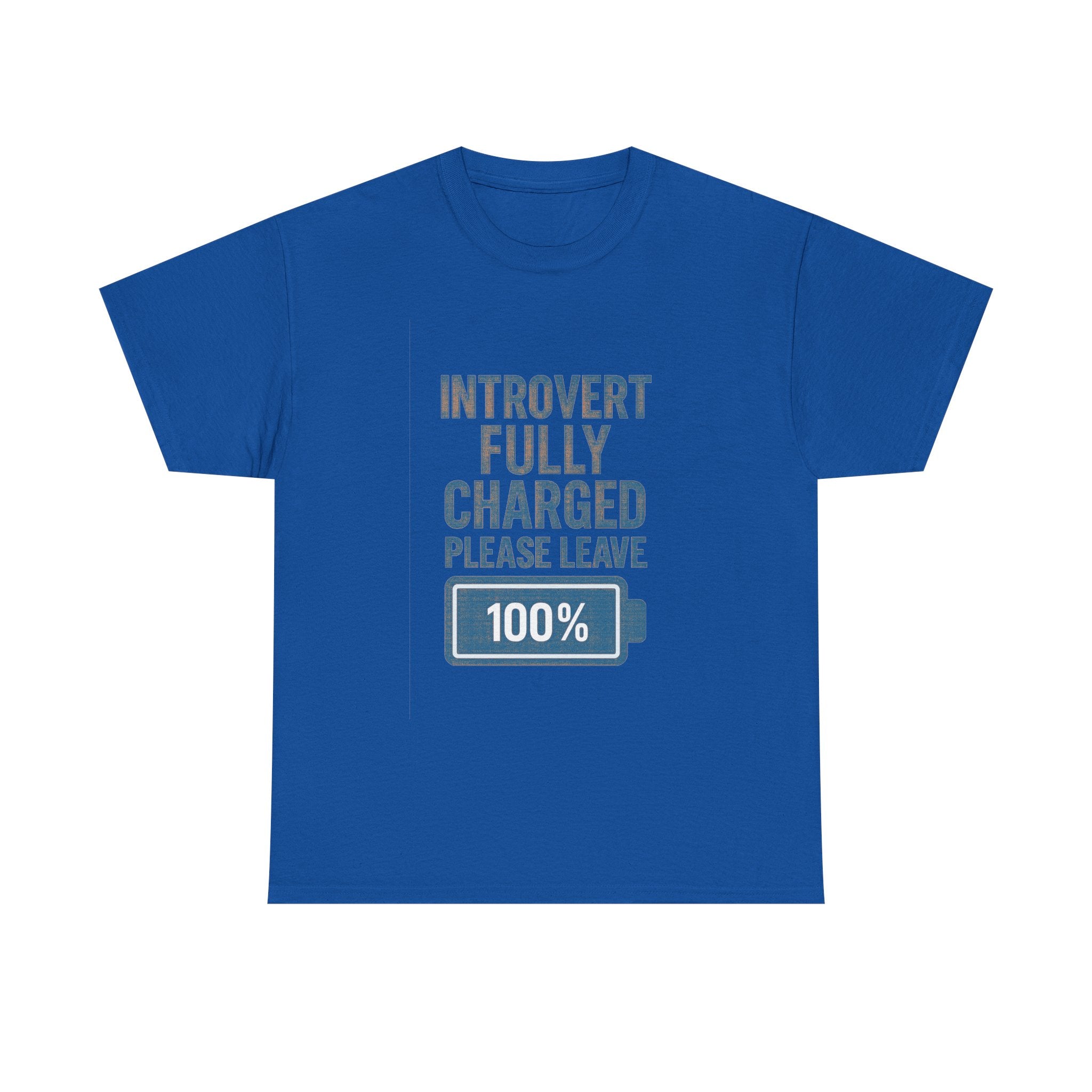 Introvert Fully Charged Please Leave T-Shirt | Unique Gift | Graphic Tee