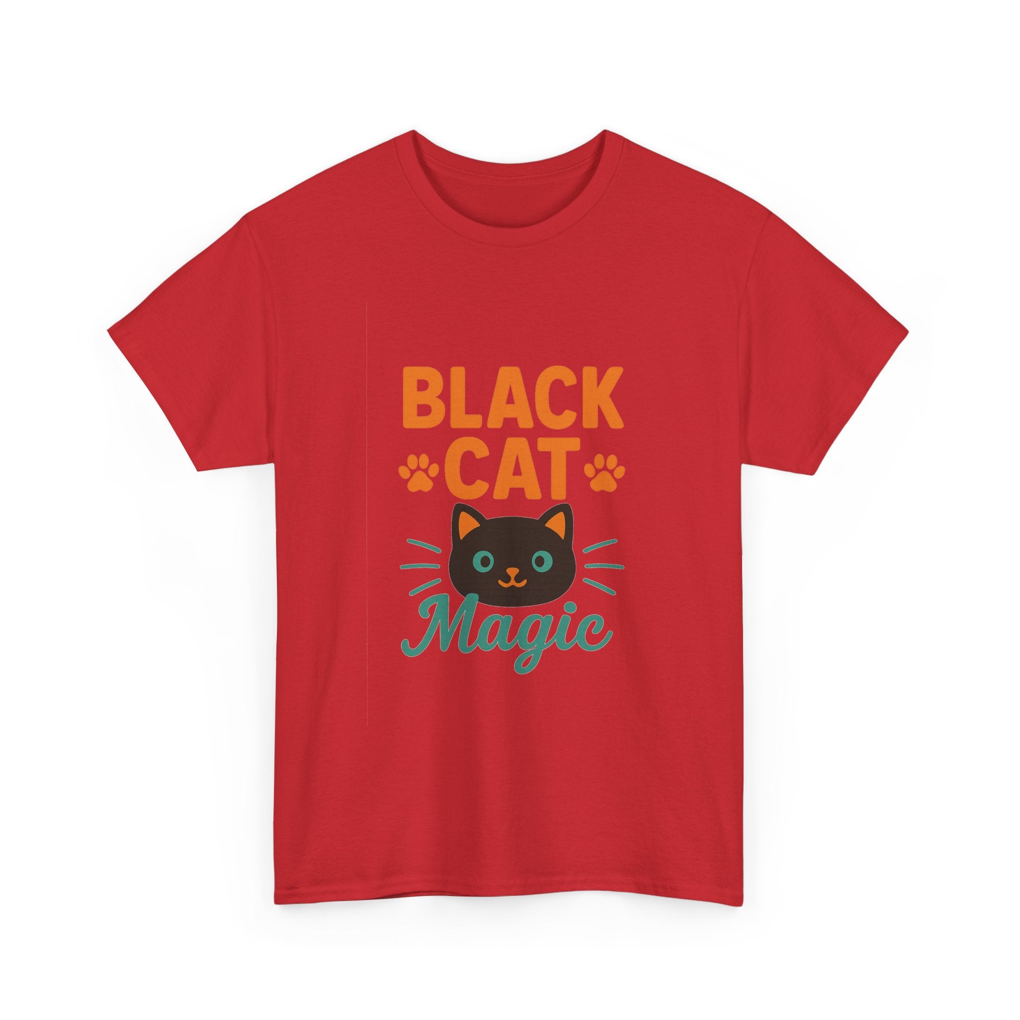 Black Cat Owner Blessed And Obsessed T-Shirt | Funny Cat Gift | Graphic Tee