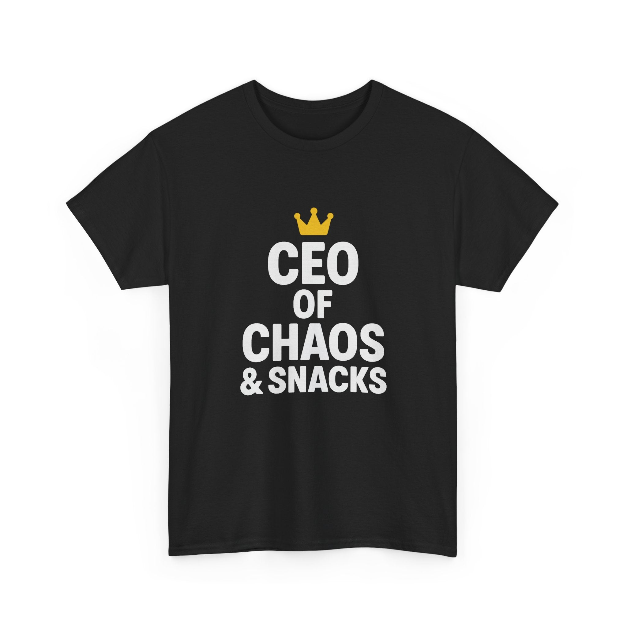 Stay At Home Dad CEO Of Chaos And Snacks T-Shirt | Gift for Dad | Graphic Tee