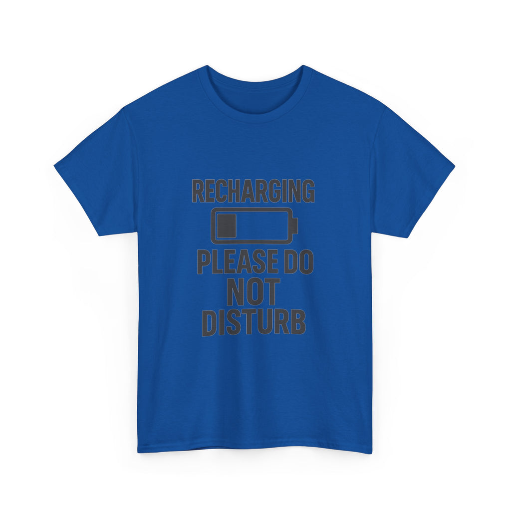 Introvert Recharging Please Do Not Disturb T-Shirt | Unique Gift | Graphic Tee
