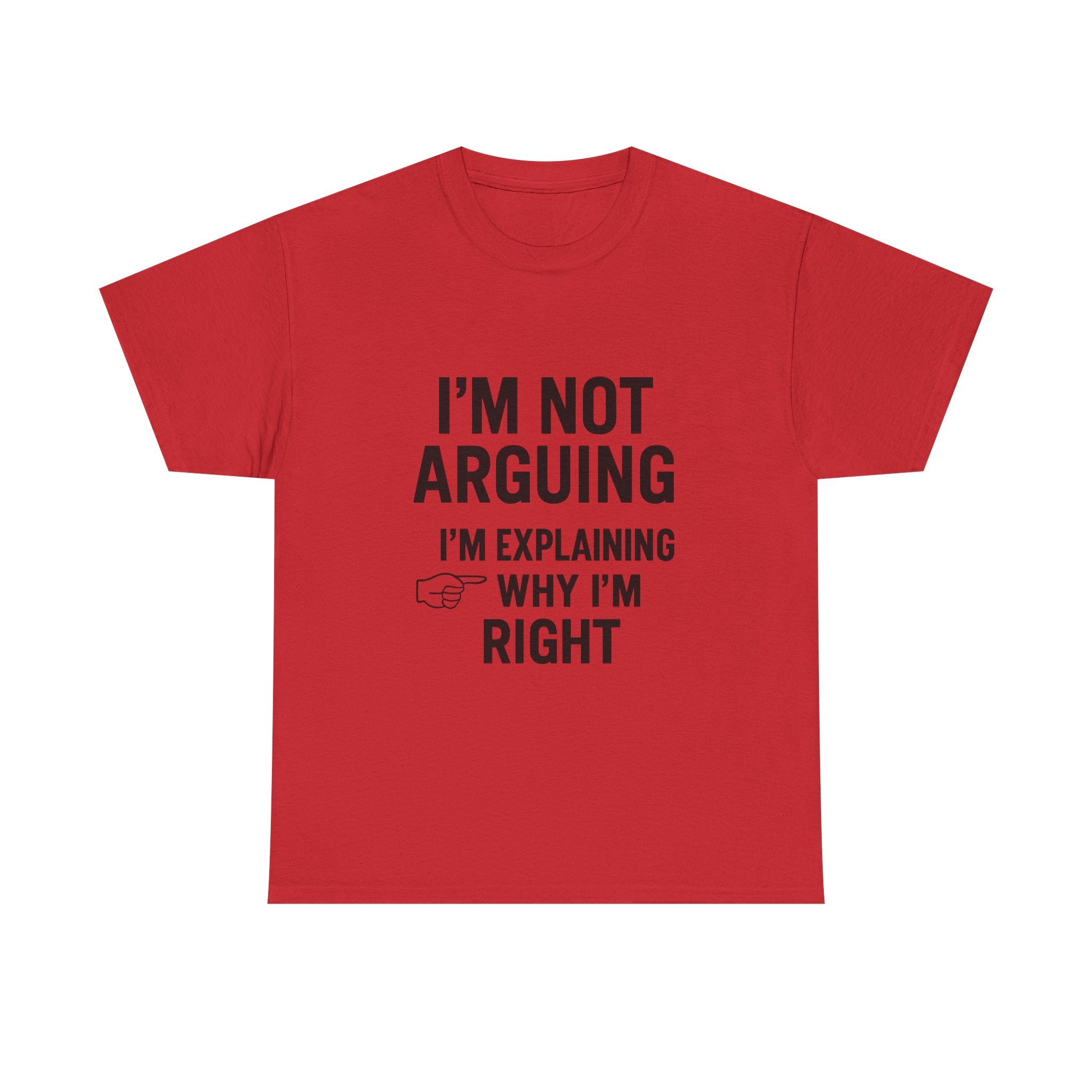 I'm Not Arguing Funny T-Shirt | Funny Gift | Graphic Tee