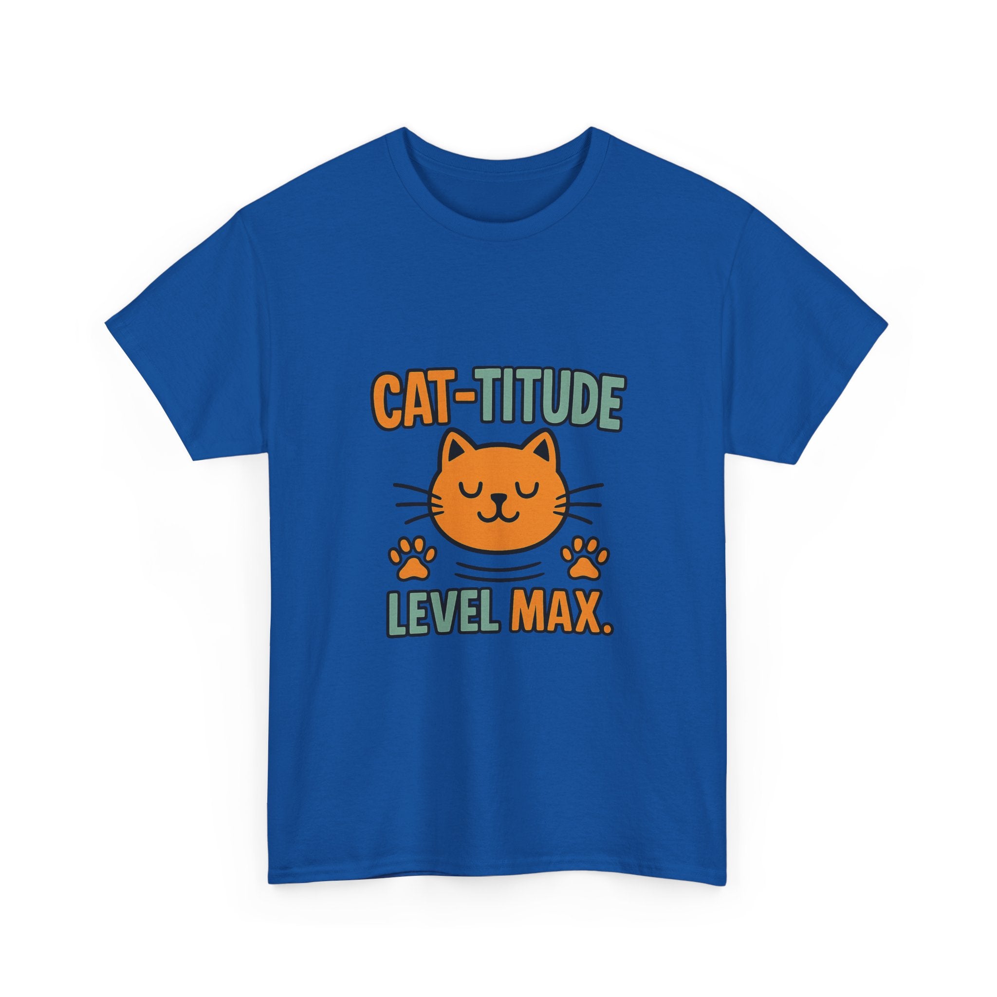 Cat Mood Do Not Test Me T-Shirt | Funny Cat Attitude Gift | Graphic Tee