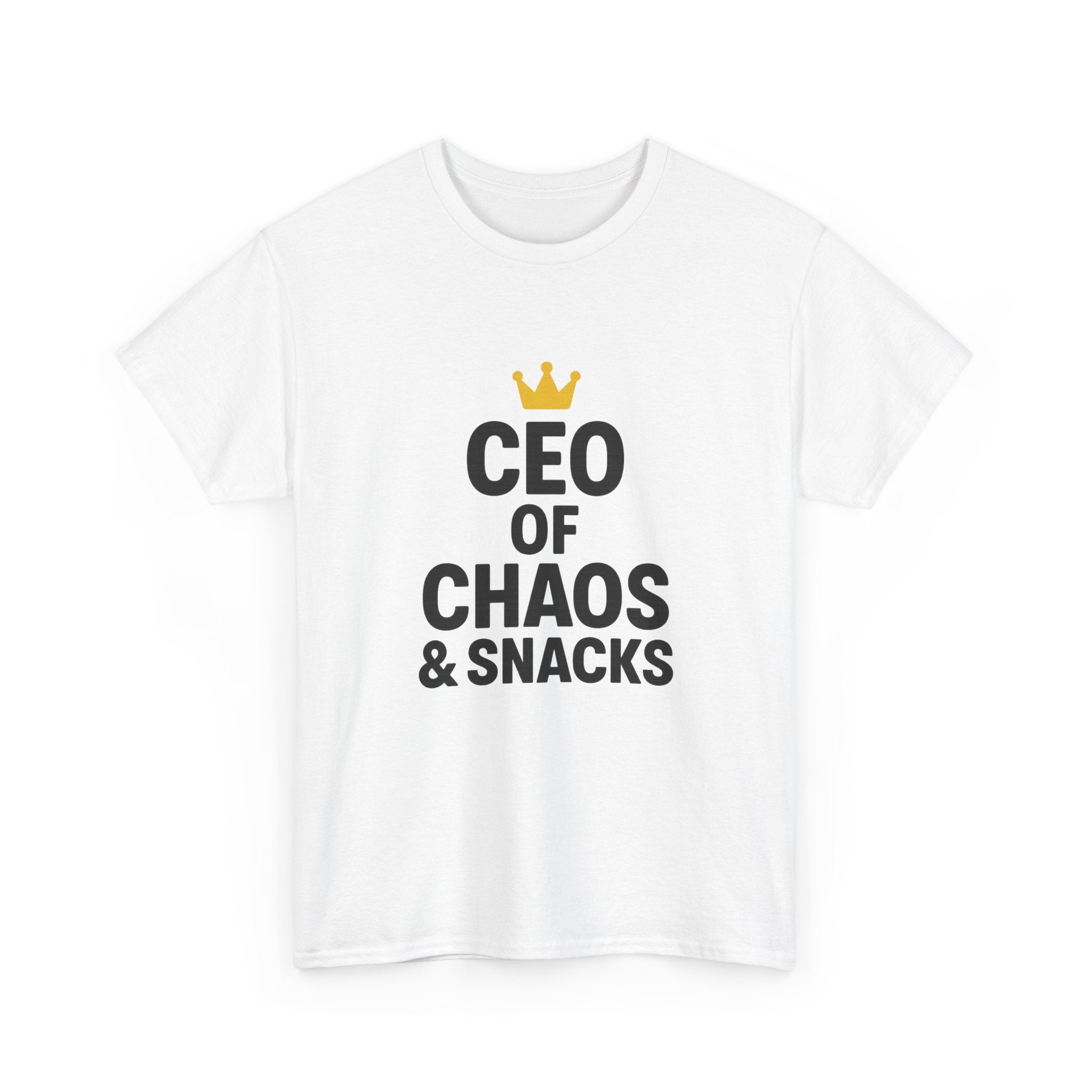 Stay At Home Dad CEO Of Chaos And Snacks T-Shirt | Gift for Dad | Graphic Tee