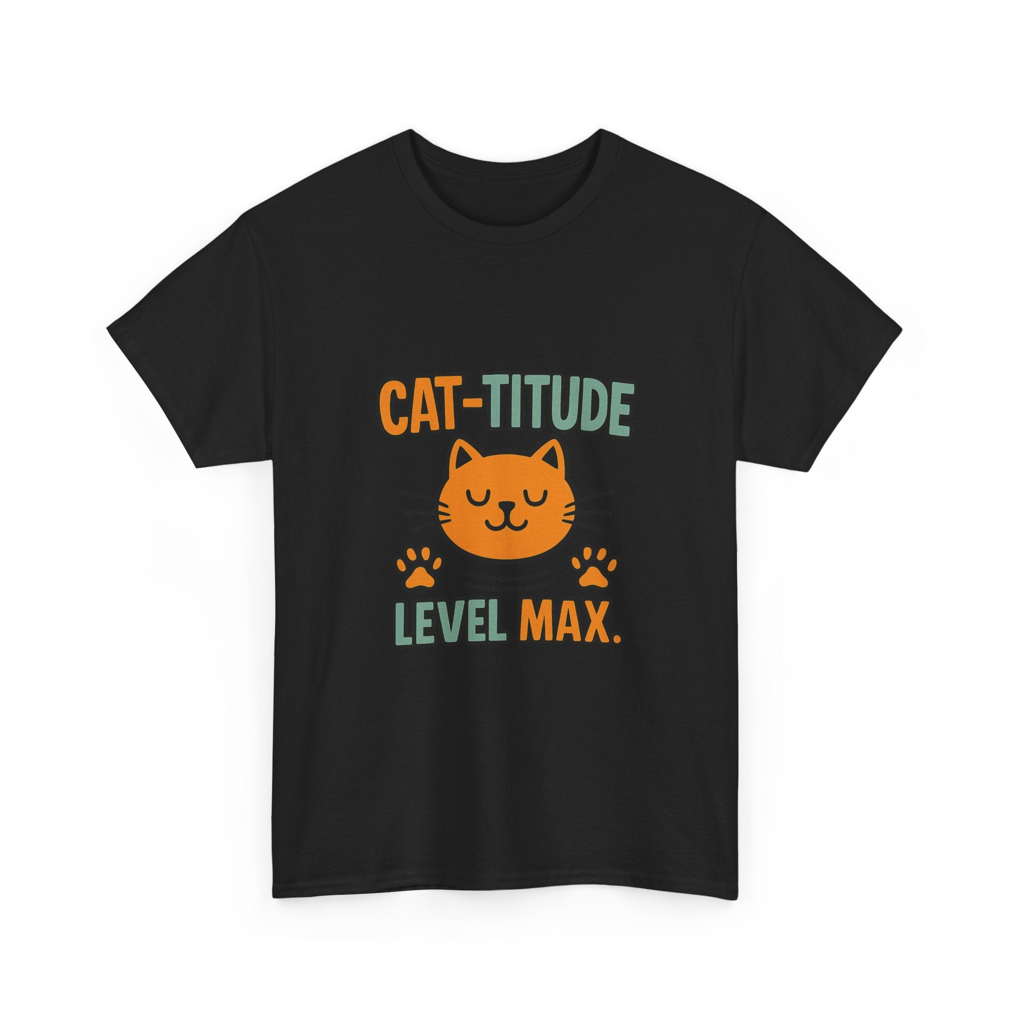 Cat Mood Do Not Test Me T-Shirt | Funny Cat Attitude Gift | Graphic Tee