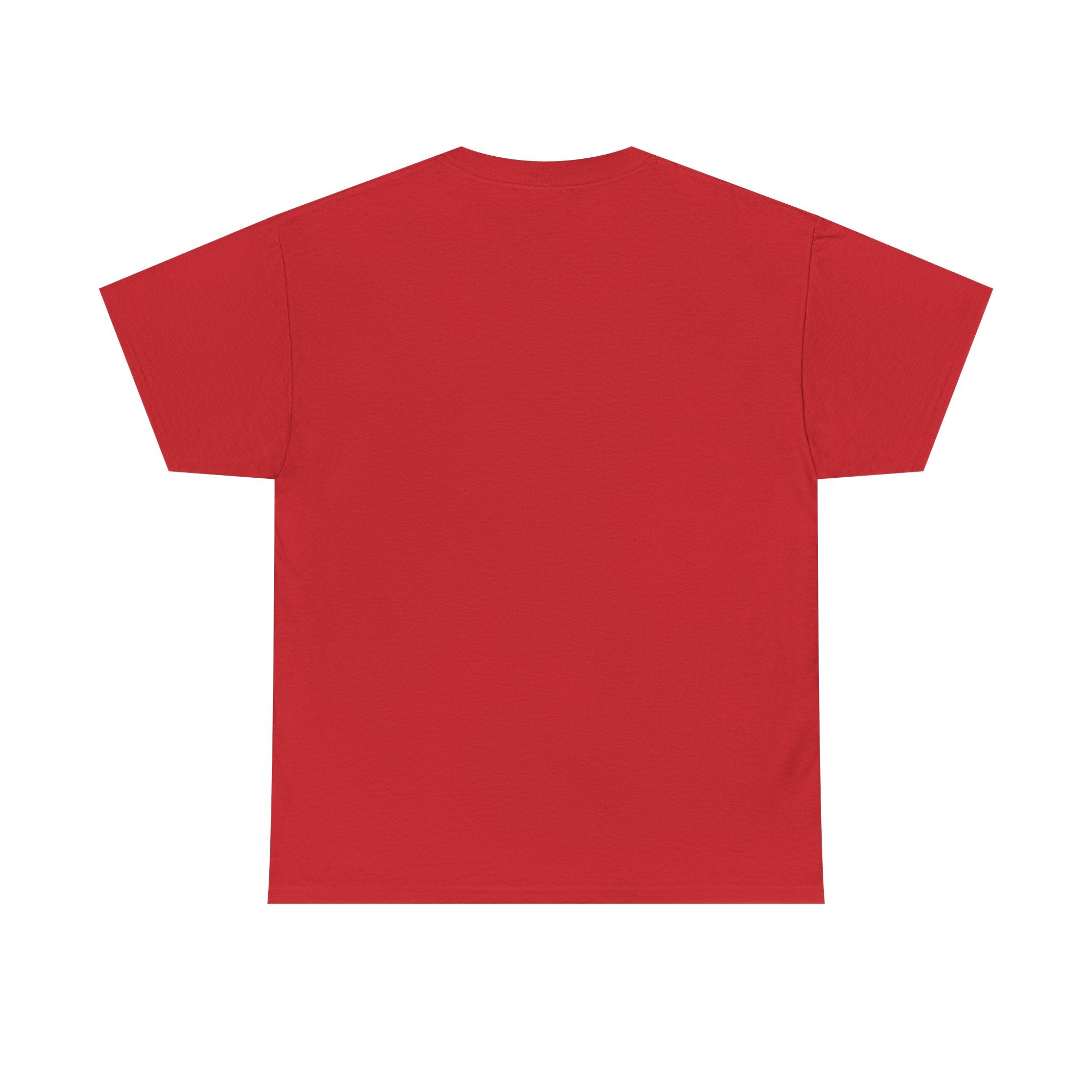 Fluent In Sarcasm T-Shirt | Funny Sarcastic Gift | Graphic Tee