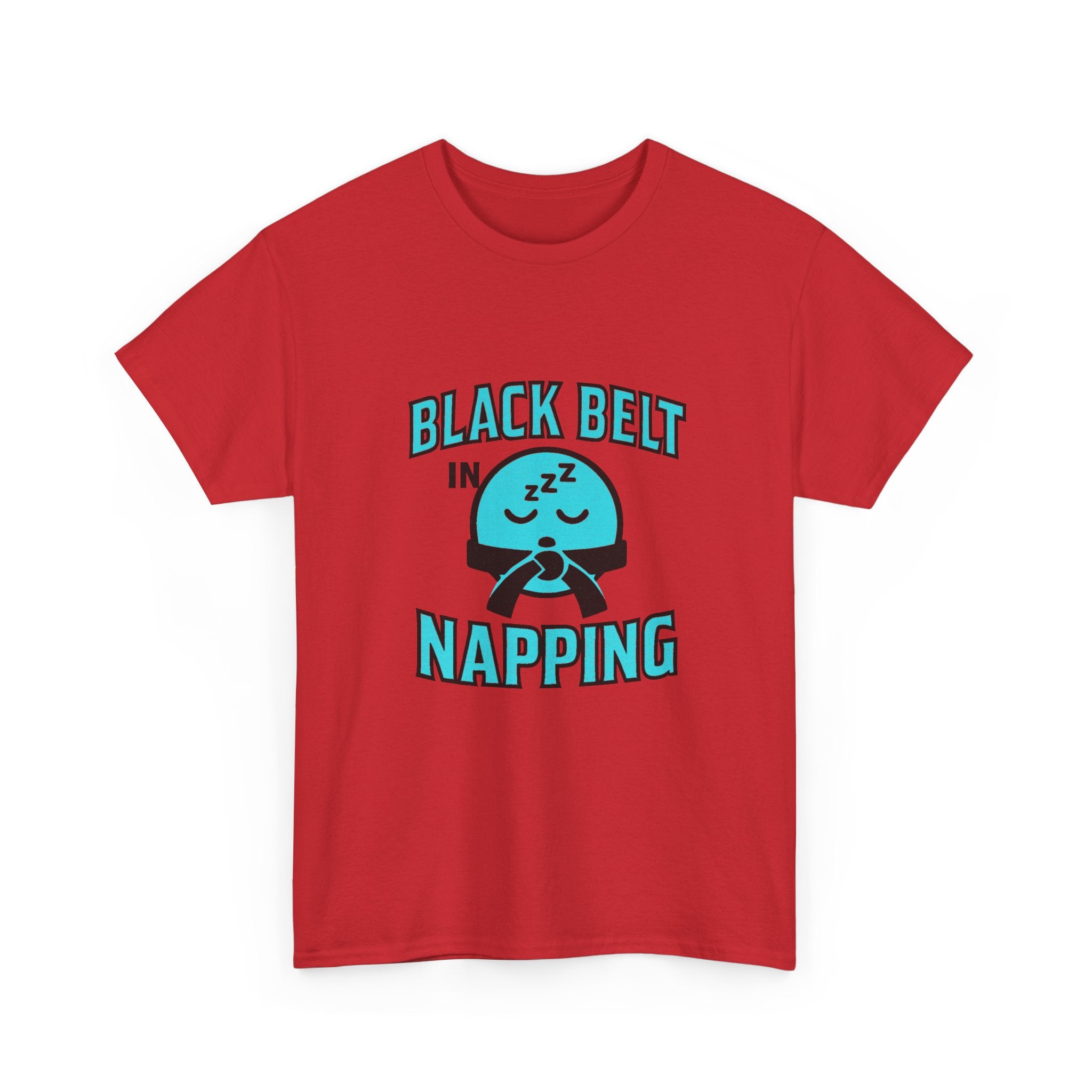 Black Belt In Napping T-Shirt | Unique Gift | Graphic Tee