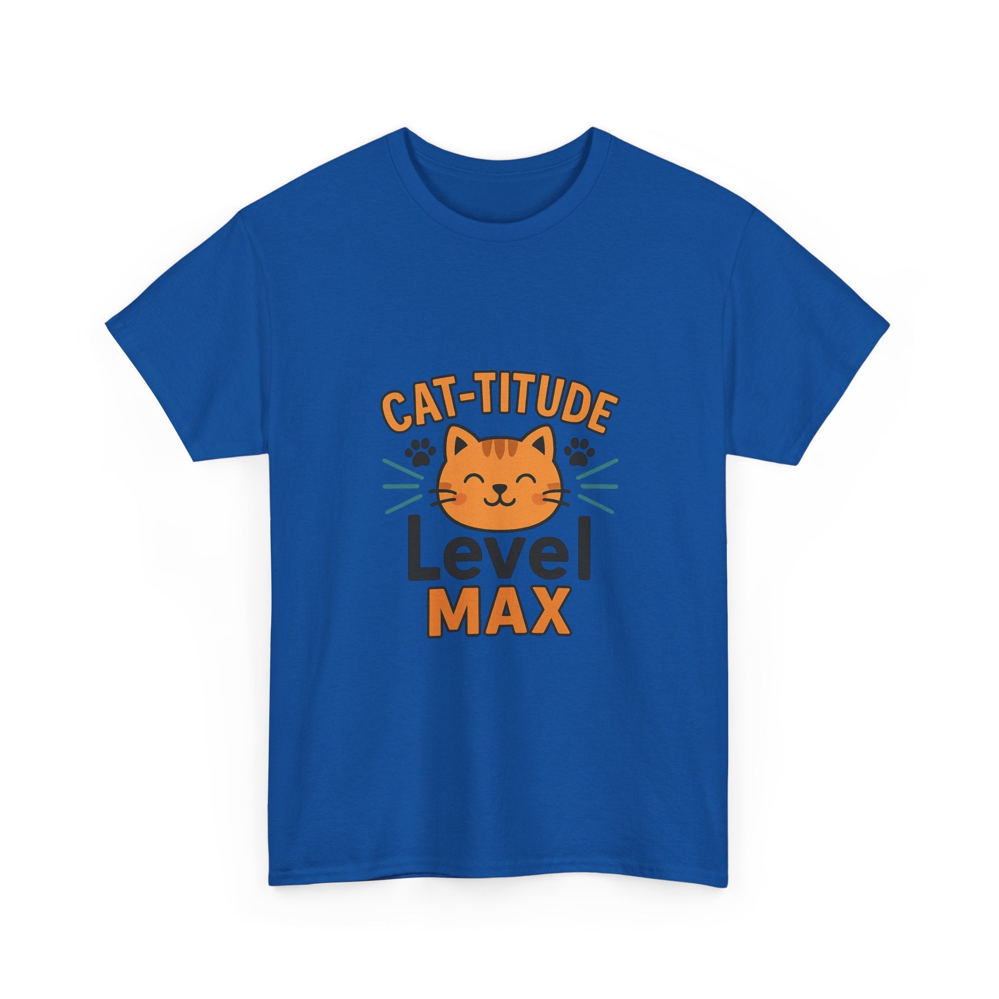 I Have Cat-titude And I Know It T-Shirt | Funny Cat Gift | Graphic Tee