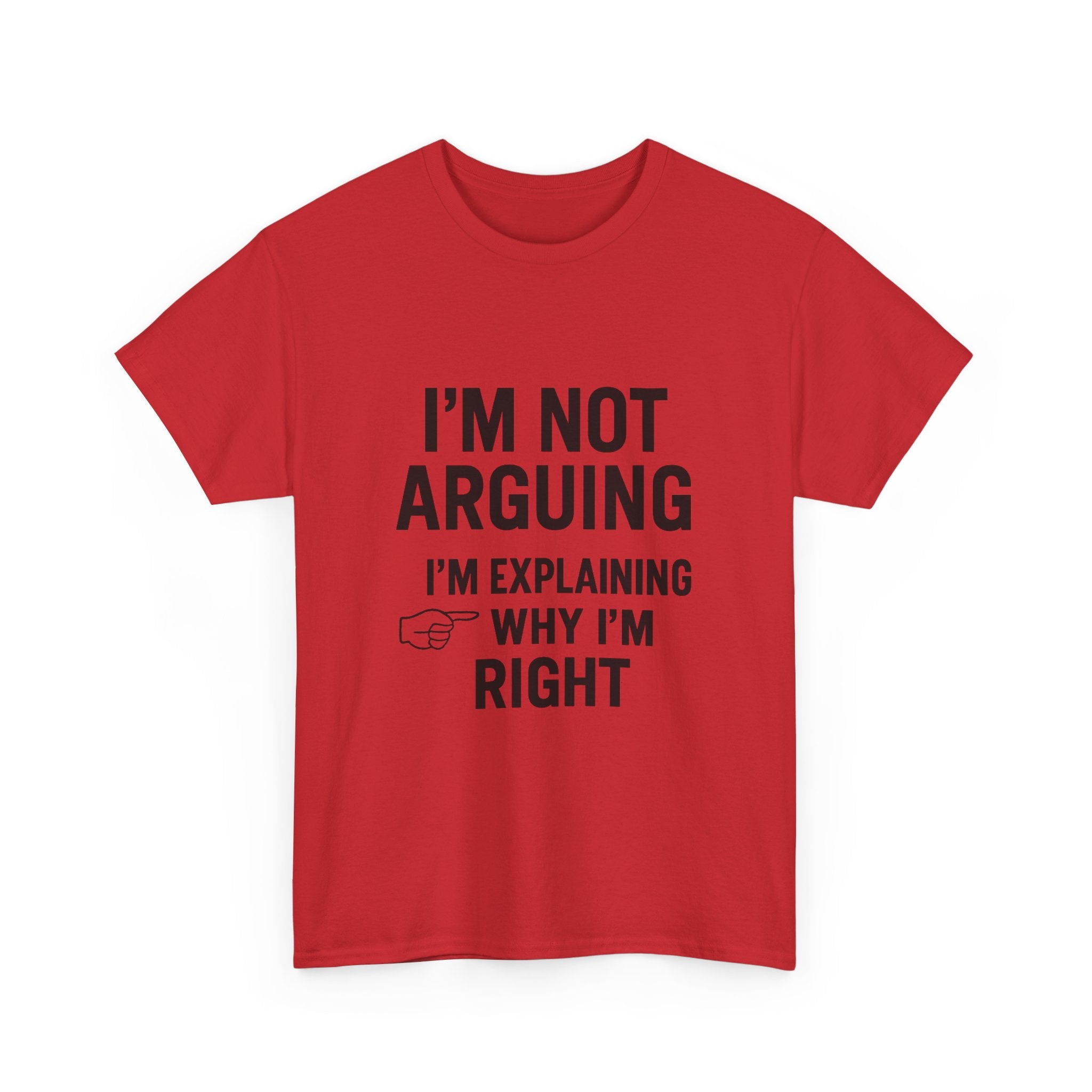I'm Not Arguing Funny T-Shirt | Funny Gift | Graphic Tee