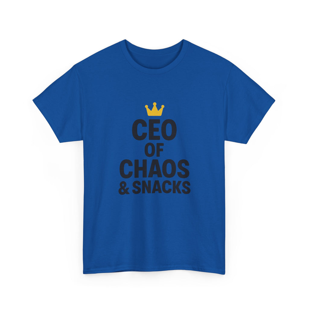 Stay At Home Dad CEO Of Chaos And Snacks T-Shirt | Gift for Dad | Graphic Tee
