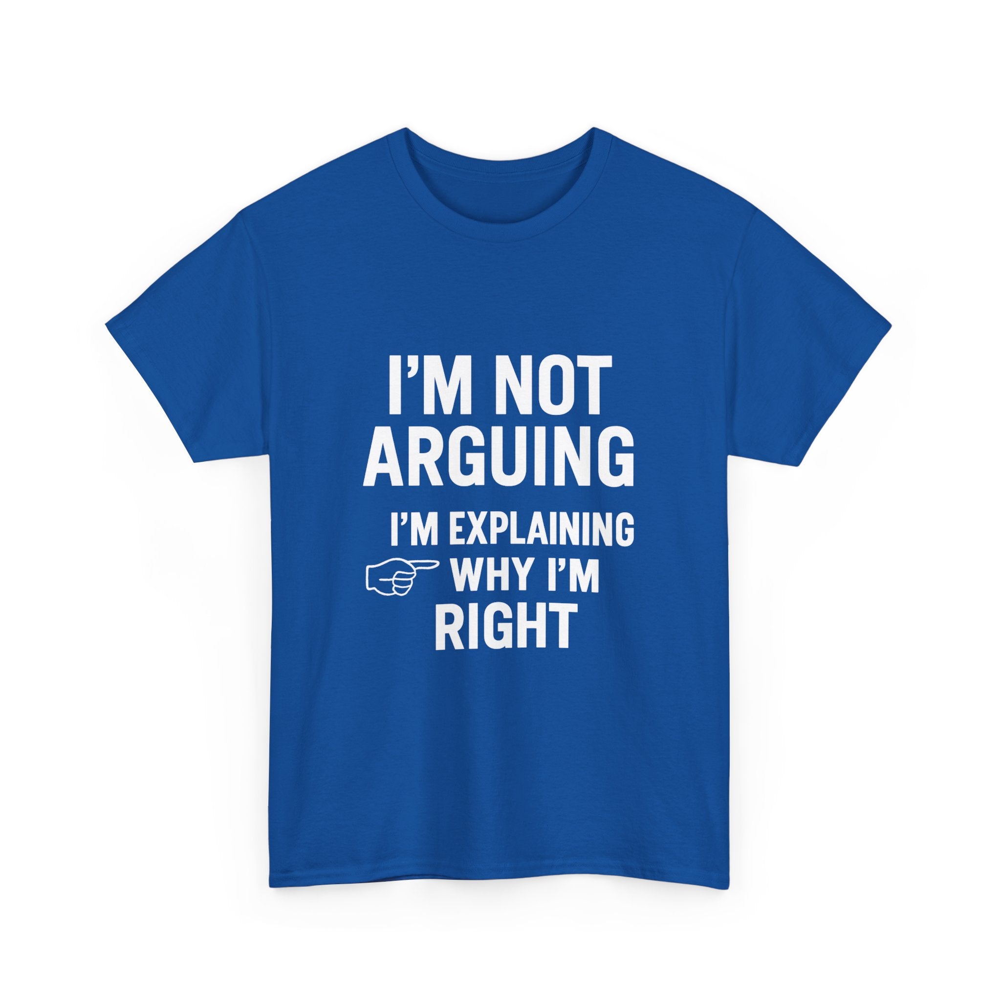 I'm Not Arguing Funny T-Shirt | Funny Gift | Graphic Tee