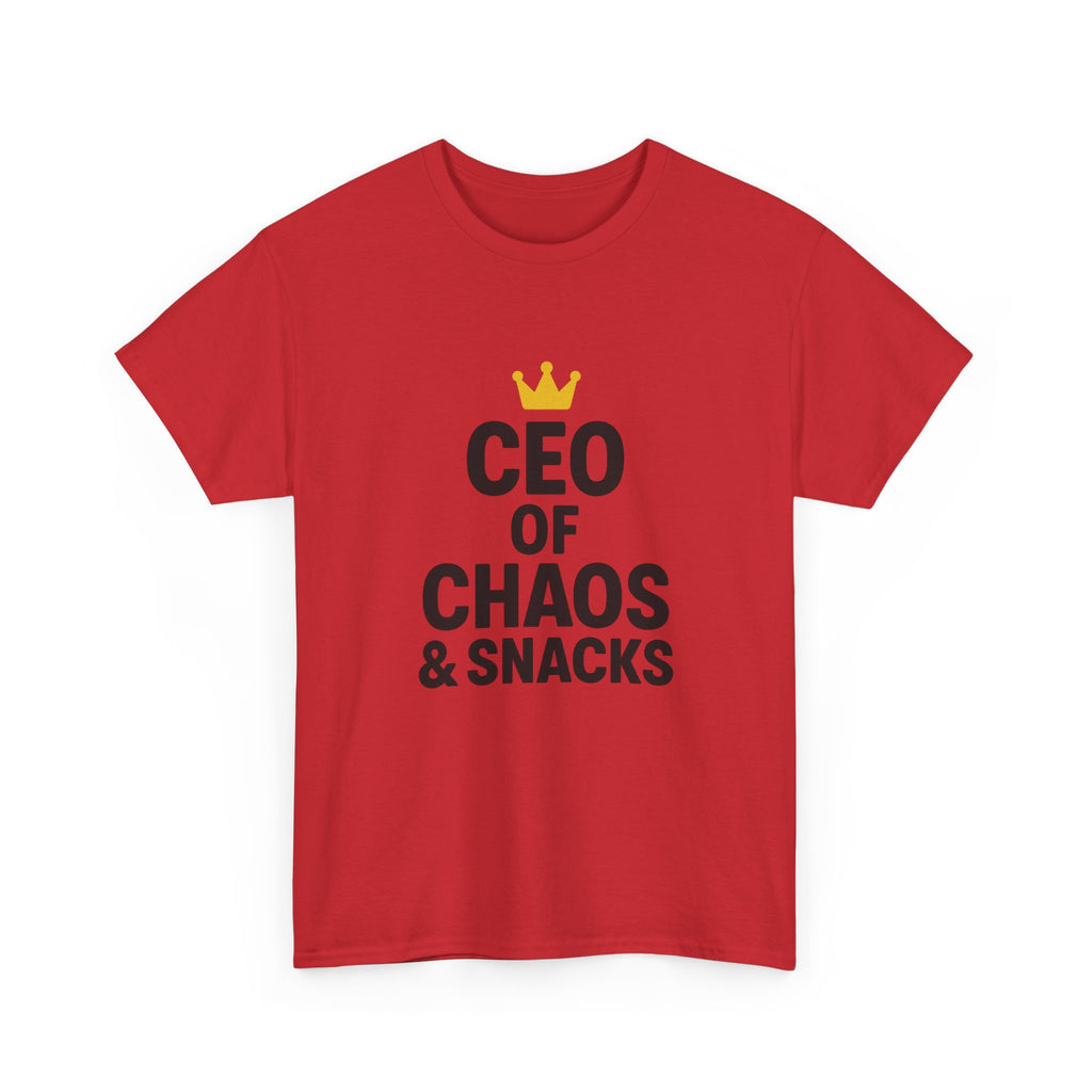 Stay At Home Dad CEO Of Chaos And Snacks T-Shirt | Gift for Dad | Graphic Tee