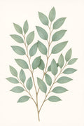Detailed botanical illustration of eucalyptus branches wi... | Printable Wall Art | Instant Download