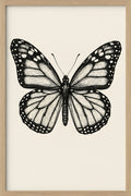 Detailed line drawing of a monarch butterfly with intrica... | Printable Wall Art | Instant Download