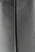 Black and white macro of a feather | Printable Wall Art | Instant Download