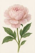 Single peony bloom in full detail | Printable Wall Art | Instant Download