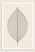 Fine line drawing of a leaf skeleton showing veins | Printable Wall Art | Instant Download
