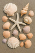 Seashell collection arranged on wet sand | Printable Wall Art | Instant Download