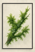 Moss and lichen covered branch | Printable Wall Art | Instant Download