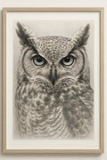 Detailed graphite drawing of an owl portrait | Printable Wall Art | Instant Download