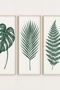 Three-piece botanical illustration set: monstera leaf | Printable Wall Art | Instant Download