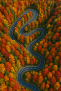 Winding mountain road through autumn foliage | Printable Wall Art | Instant Download