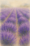 Lavender field close-up illustration | Printable Wall Art | Instant Download