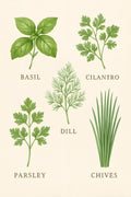 Herb garden illustration set — basil | Printable Wall Art | Instant Download