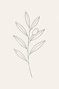 Minimalist botanical — single olive branch with few leaves | Printable Wall Art | Instant Download