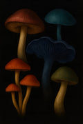 Dark botanical mushroom illustration on black background | Printable Wall Art | Instant Download