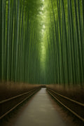 Bamboo forest pathway in Kyoto | Printable Wall Art | Instant Download