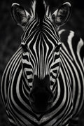 High contrast photograph of zebra | Printable Wall Art | Instant Download