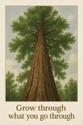 Tall redwood tree looking up | Printable Wall Art | Instant Download