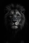 High contrast black and white portrait of a lion | Printable Wall Art | Instant Download