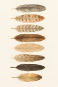 Bohemian feather collection arranged vertically | Printable Wall Art | Instant Download