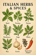 Vintage-style illustration of Italian herbs and spices wi... | Printable Wall Art | Instant Download