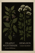 Gothic botanical — poisonous plants illustrated on black | Printable Wall Art | Instant Download