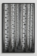 Black and white forest of birch trees | Printable Wall Art | Instant Download